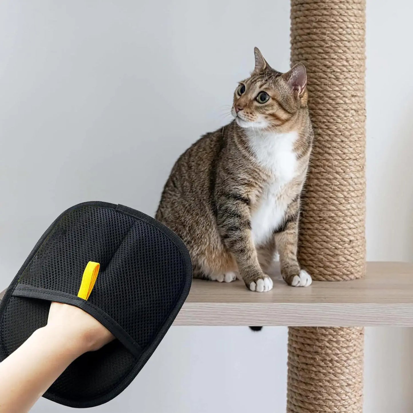 Electrostatic Pet Hair Removal Gloves